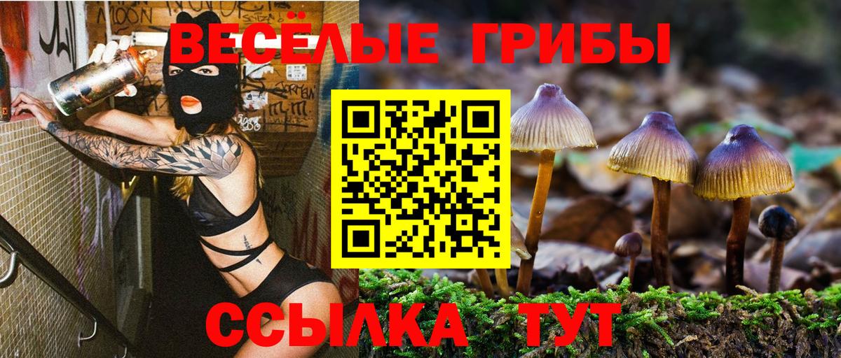 Галлюциногенные грибы мицелий Каспийск