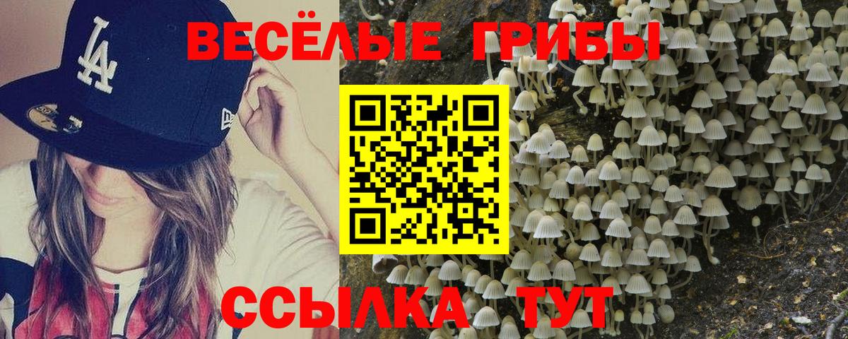 Псилоцибиновые грибы ЛСД  Псилоцибиновые грибы GOLDEN TEACHER  Каспийск  где найти наркотики  Вход с VPN 